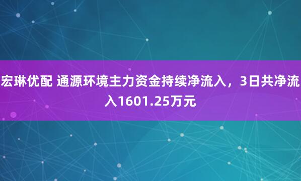 宏琳优配 通源环境主力资金持续净流入，3日共净流入1601.25万元