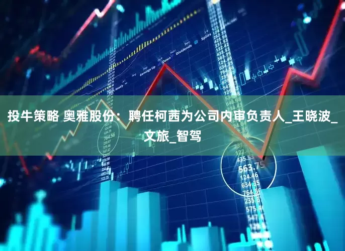 投牛策略 奥雅股份：聘任柯茜为公司内审负责人_王晓波_文旅_智驾