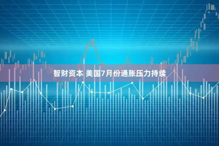 智财资本 美国7月份通胀压力持续