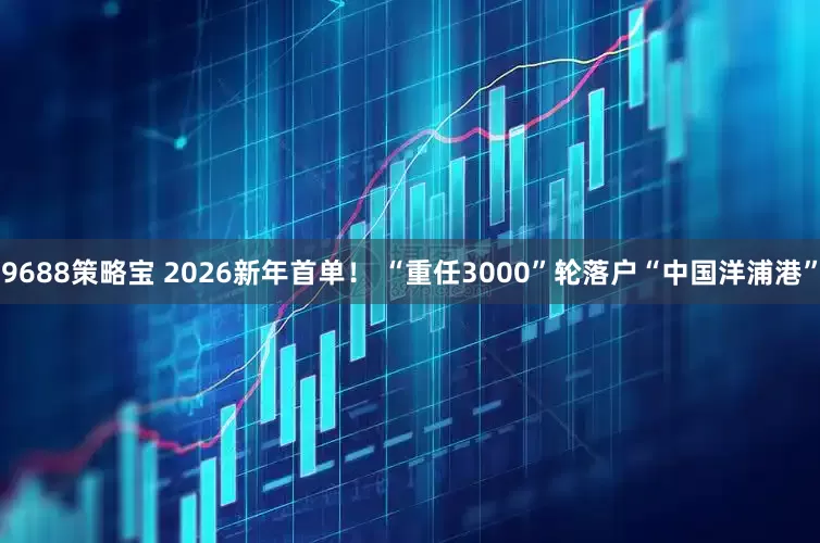9688策略宝 2026新年首单！ “重任3000”轮落户“中国洋浦港”